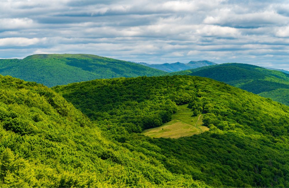 Ministerstvo o zonácií Polonín zavádza, je zle pripravená a v rozpore so zákonom